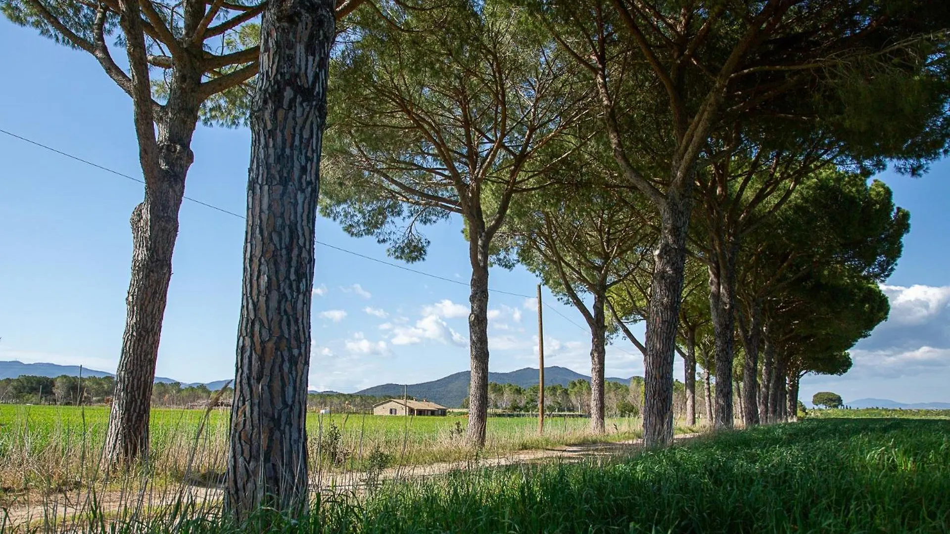 Agriturismo Le Chiocciolaie Appartamento 1 - Appartamento 3 Podere Cernaia