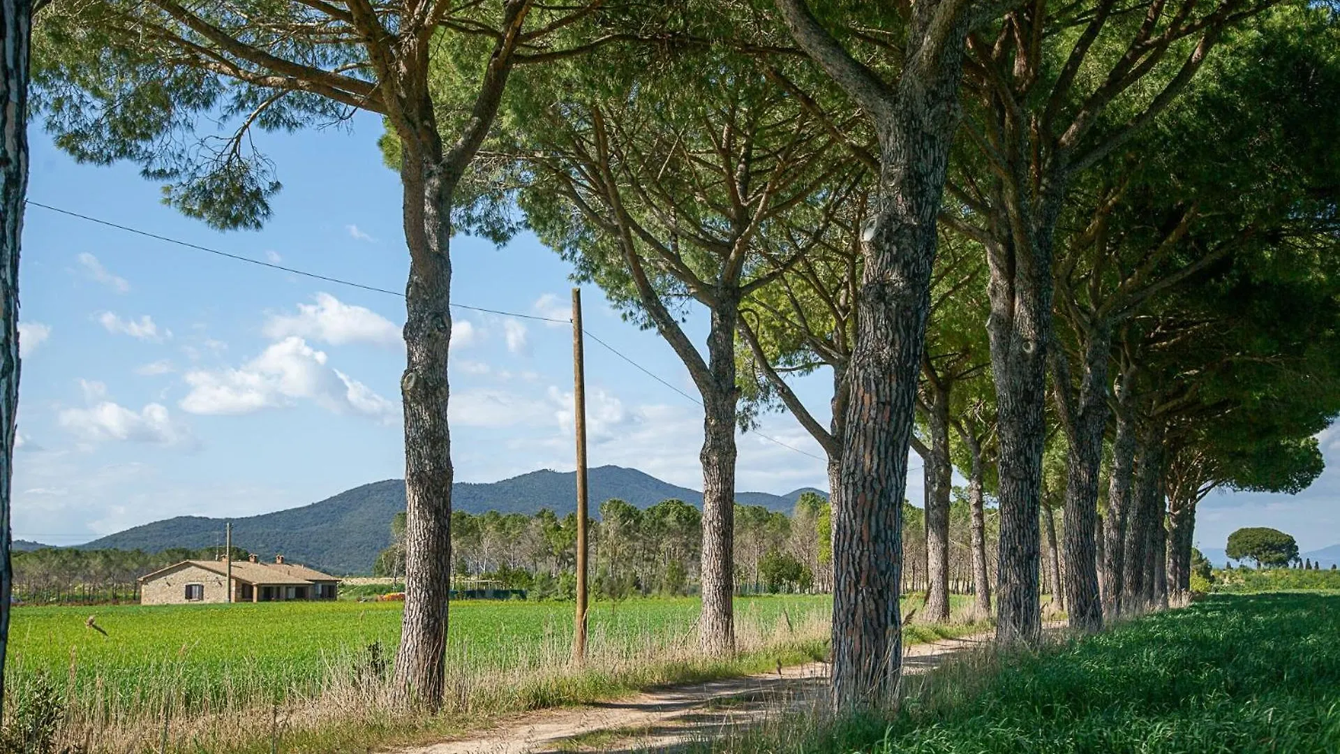 Agriturismo Le Chiocciolaie Appartamento 1 - Appartamento 3 Podere Cernaia 0*,  Italy