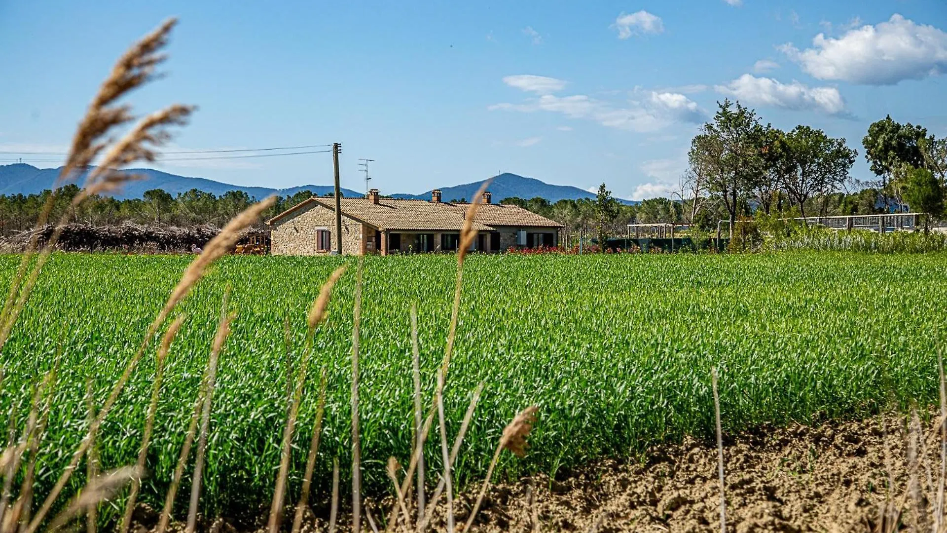 Agriturismo Le Chiocciolaie Appartamento 1 - Appartamento 3 Podere Cernaia 0*,  Italy