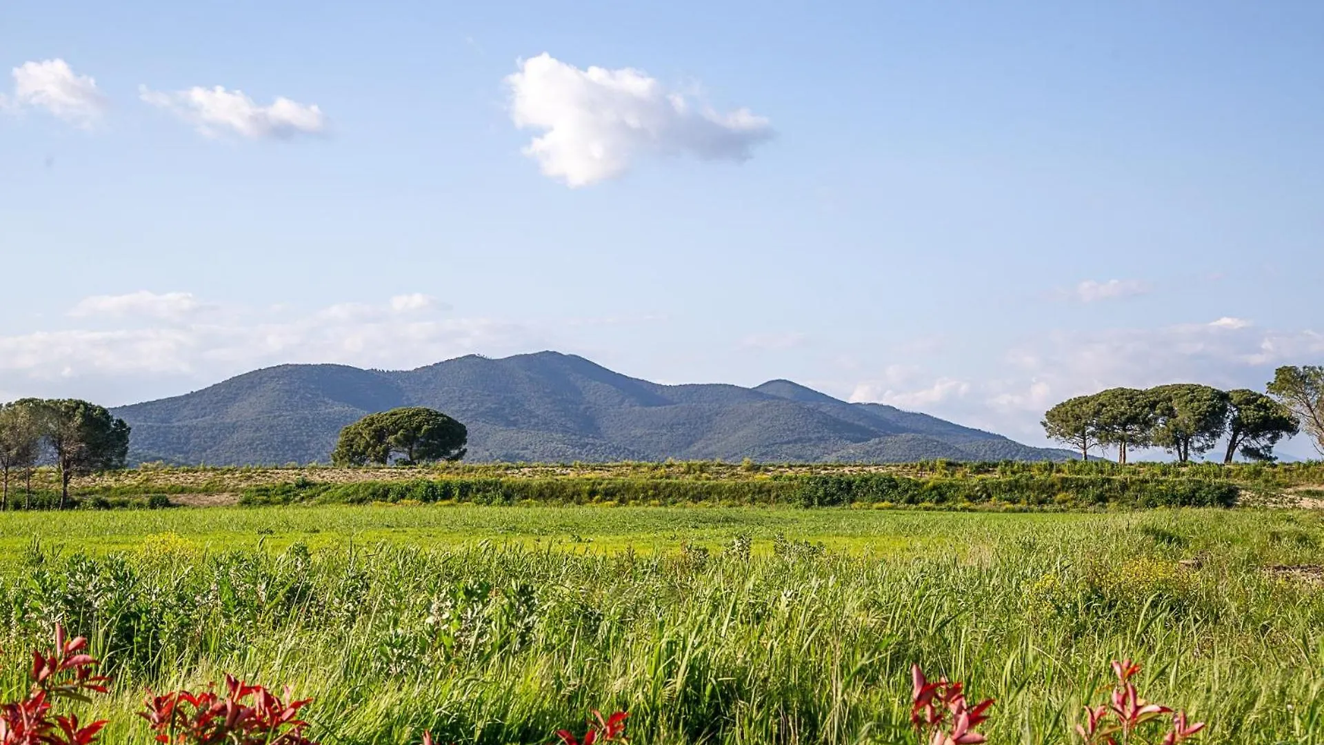Agriturismo Le Chiocciolaie Appartamento 1 - Appartamento 3 Podere Cernaia Apartment