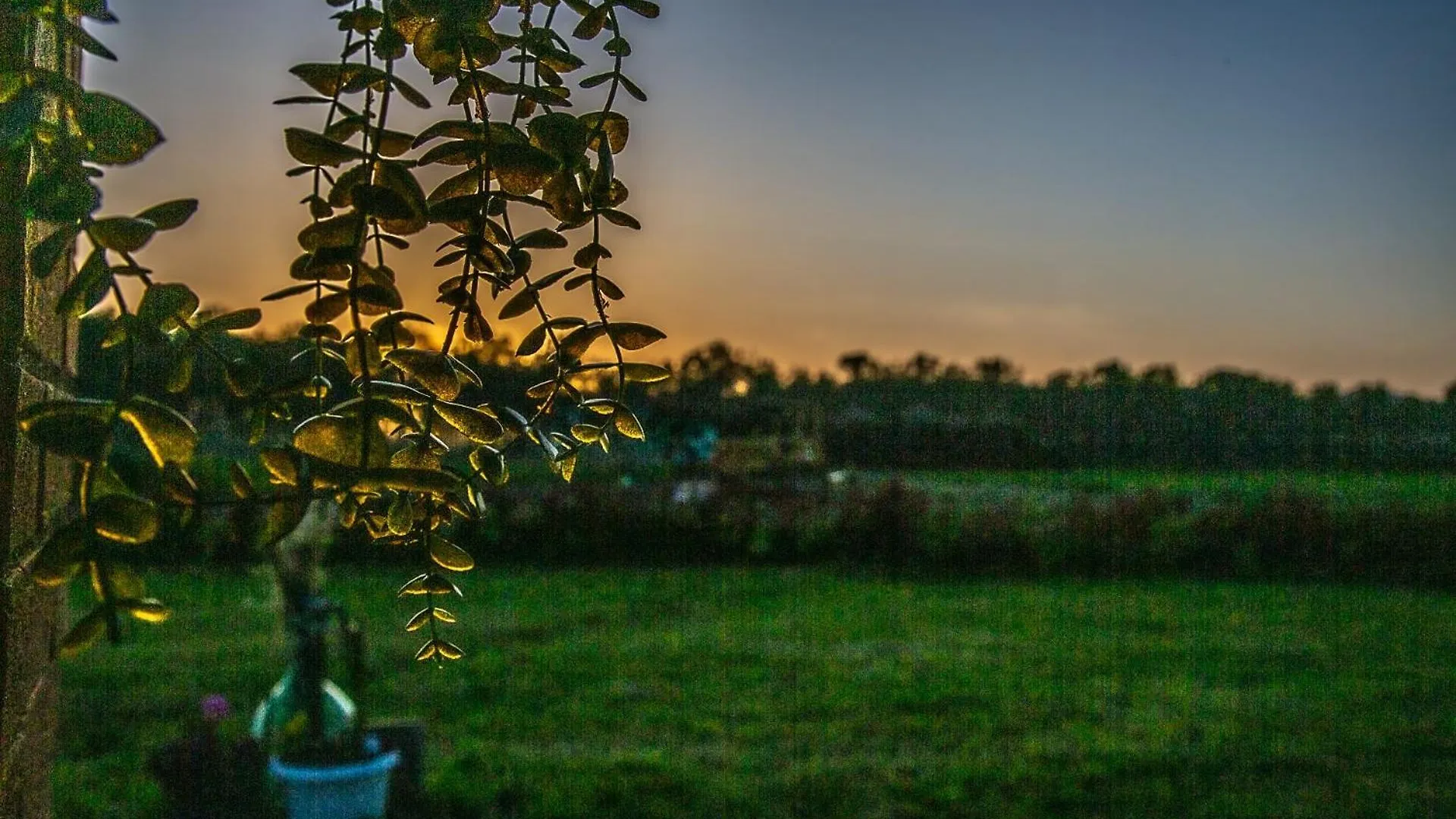 Agriturismo Le Chiocciolaie Appartamento 1 - Appartamento 3 Podere Cernaia
