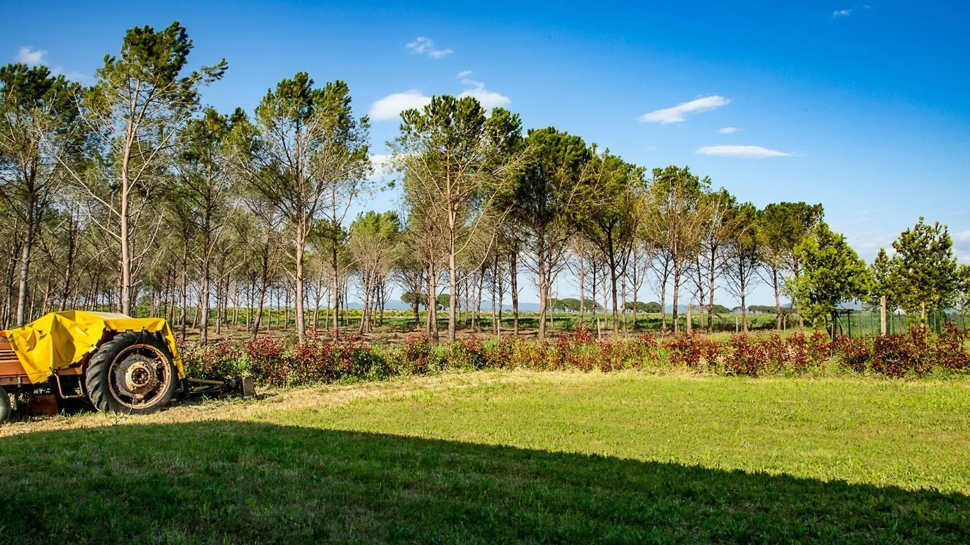 Agriturismo Le Chiocciolaie Appartamento 1 - Appartamento 3 Podere Cernaia Apartment