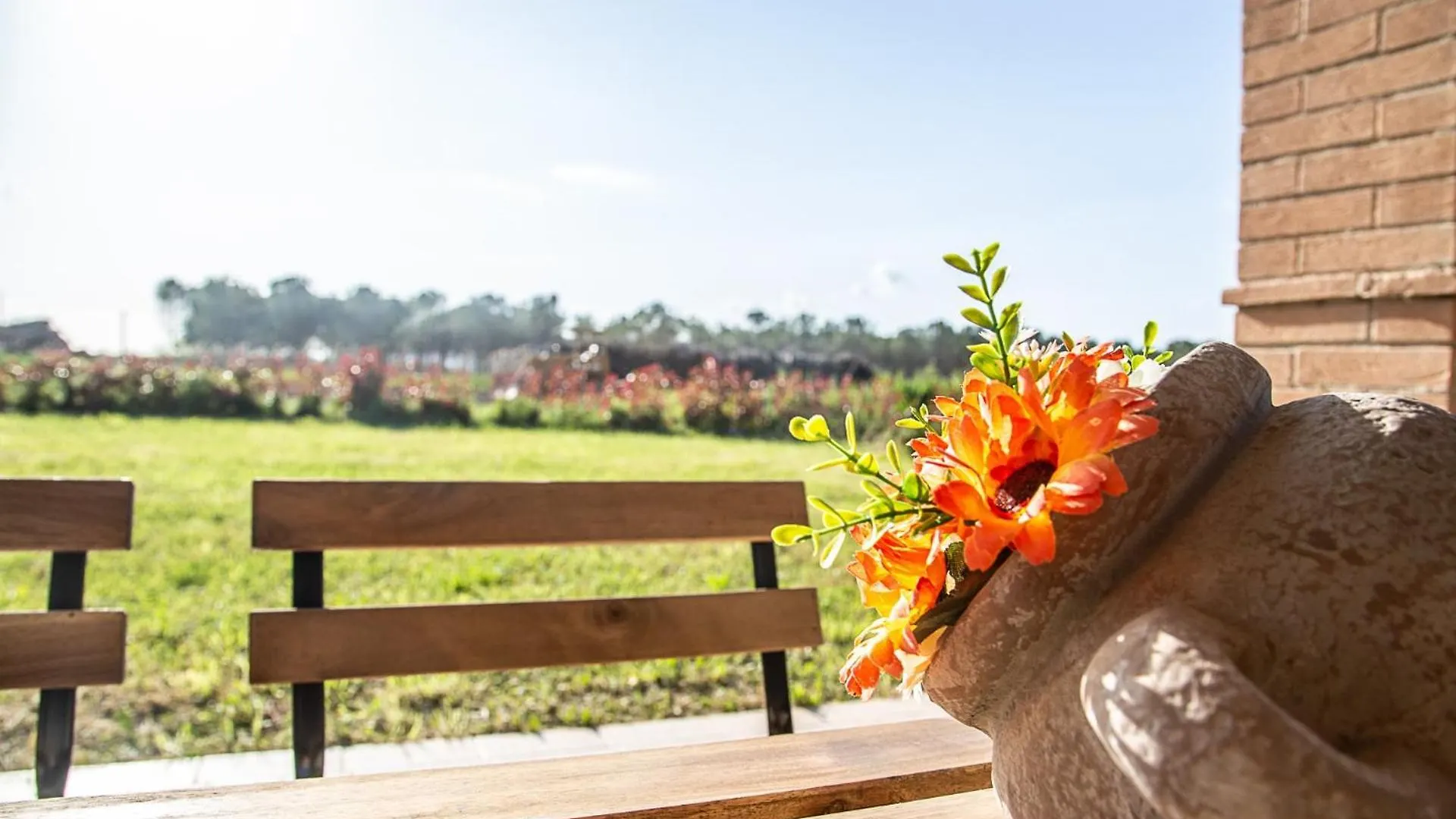 Agriturismo Le Chiocciolaie Appartamento 1 - Appartamento 3 Podere Cernaia Italy