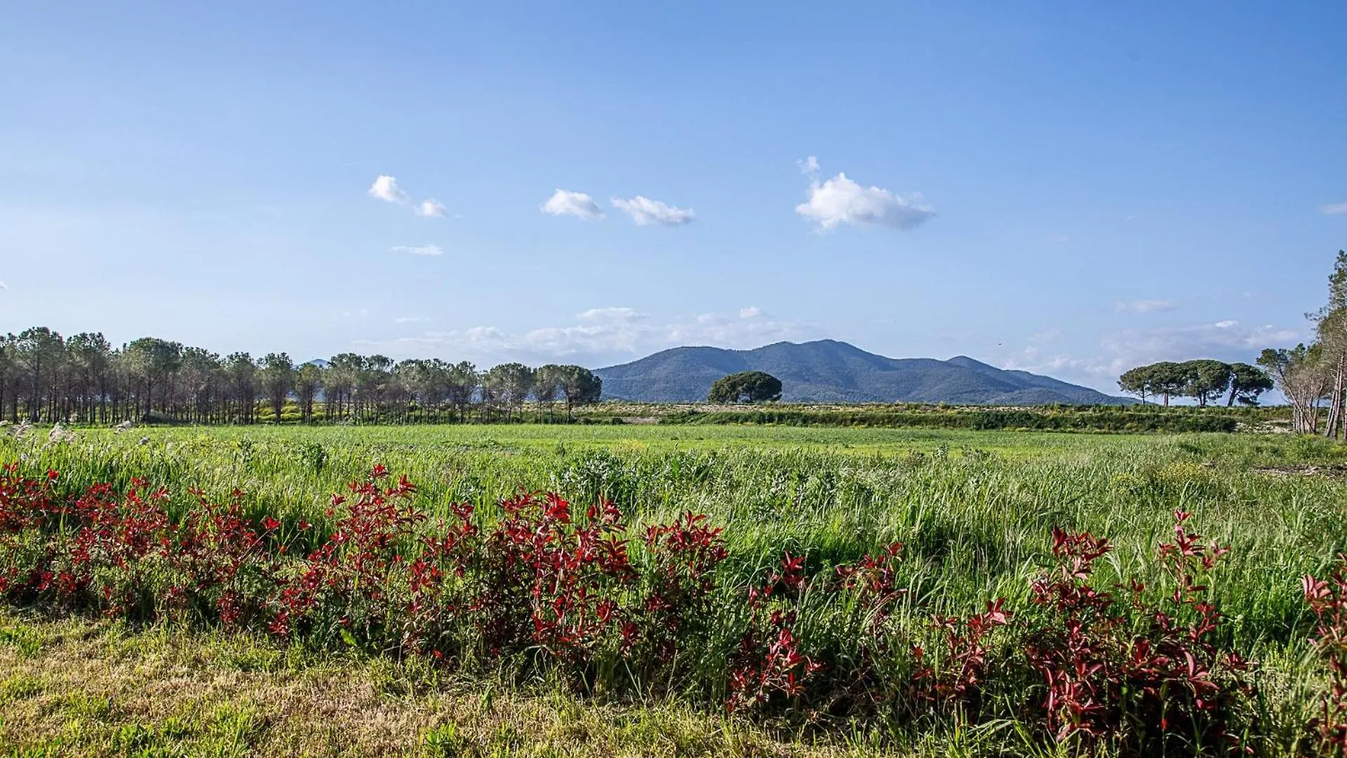 Agriturismo Le Chiocciolaie Appartamento 1 - Appartamento 3 Podere Cernaia 0*,